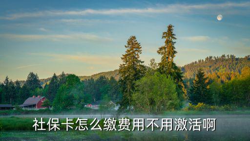 社?？ㄔ趺蠢U費用不用激活啊