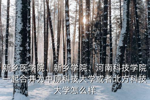 新鄉(xiāng)醫(yī)學(xué)院、新鄉(xiāng)學(xué)院、河南科技學(xué)院一起合并為中原科技大學(xué)或者北方科技大學(xué)怎么樣