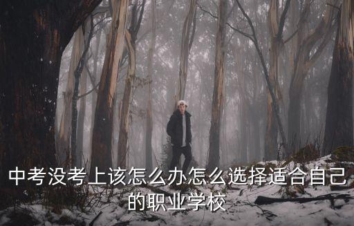 中考沒考上該怎么辦怎么選擇適合自己的職業學校
