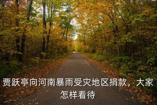 賈躍亭向河南暴雨受災(zāi)地區(qū)捐款，大家怎樣看待