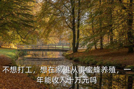 不想打工，想在家里從事蜜蜂養(yǎng)殖，一年能收入十萬元嗎