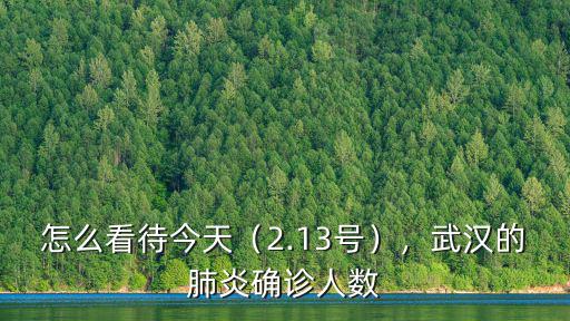 怎么看待今天（2.13號），武漢的肺炎確診人數
