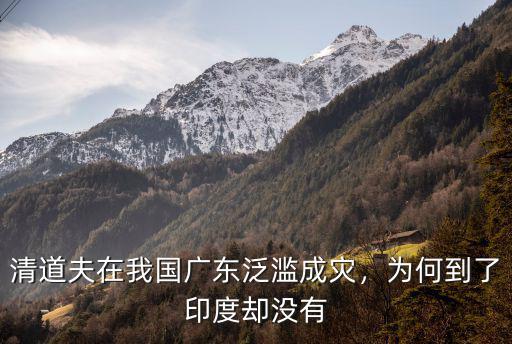 湖北河道怎么沒有清道夫,清道夫怎么吃才美味