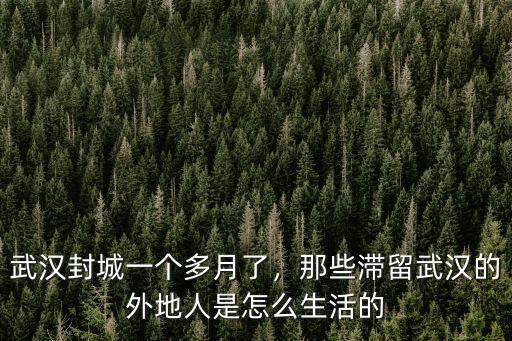 武漢封城一個多月了，那些滯留武漢的外地人是怎么生活的