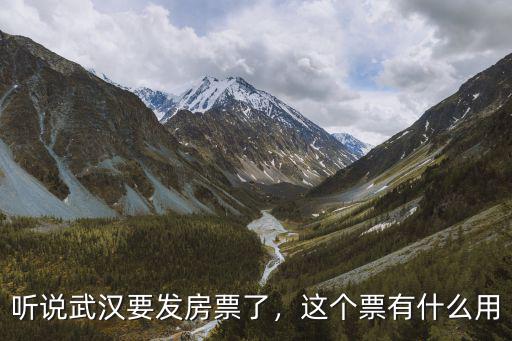 武漢房票是什么怎么弄的,這個票有什么用