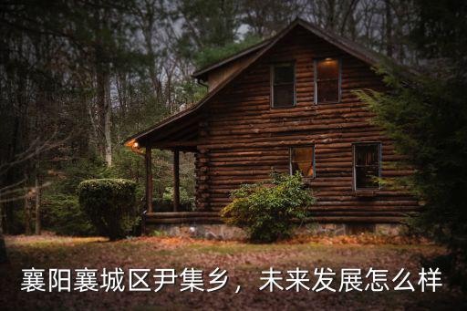 襄陽尹集九州島怎么樣,襄陽襄城區尹集鄉