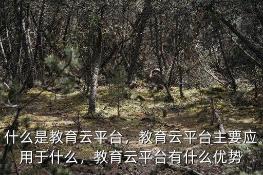 什么是教育云平臺(tái)，教育云平臺(tái)主要應(yīng)用于什么，教育云平臺(tái)有什么優(yōu)勢(shì)