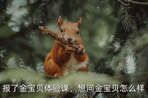 報了金寶貝體驗課，想問金寶貝怎么樣
