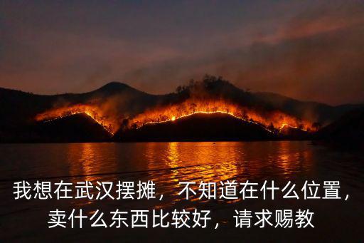 我想在武漢擺攤，不知道在什么位置，賣什么東西比較好，請求賜教