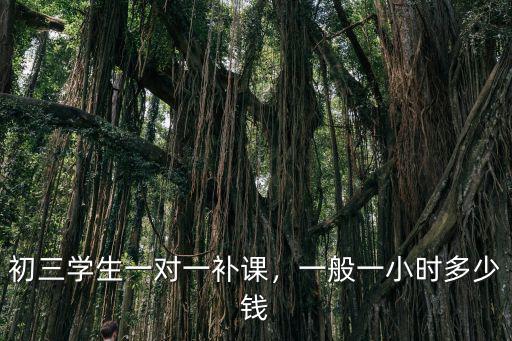 初三學生一對一補課，一般一小時多少錢