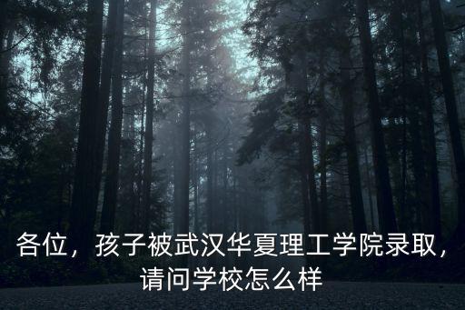 各位，孩子被武漢華夏理工學院錄取，請問學校怎么樣