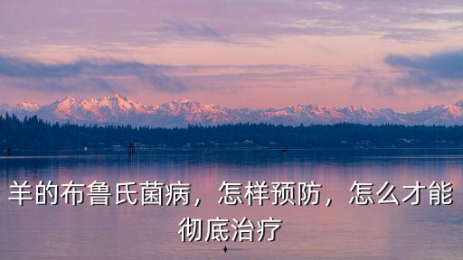 羊的布魯氏菌病，怎樣預防，怎么才能徹底治療