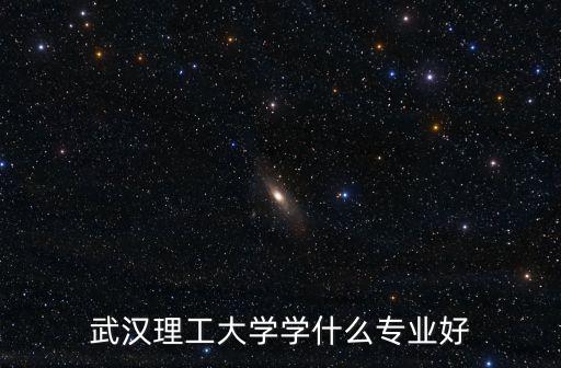 武漢理工大學(xué)學(xué)什么專業(yè)好