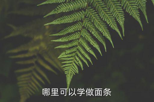 哪里可以學做面條