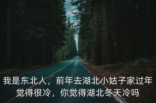 我是東北人，前年去湖北小姑子家過(guò)年覺(jué)得很冷，你覺(jué)得湖北冬天冷嗎