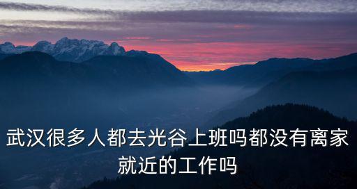 武漢很多人都去光谷上班嗎都沒有離家就近的工作嗎