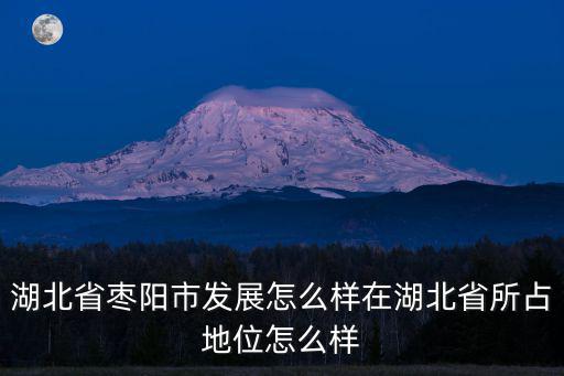 湖北省棗陽市發展怎么樣在湖北省所占地位怎么樣