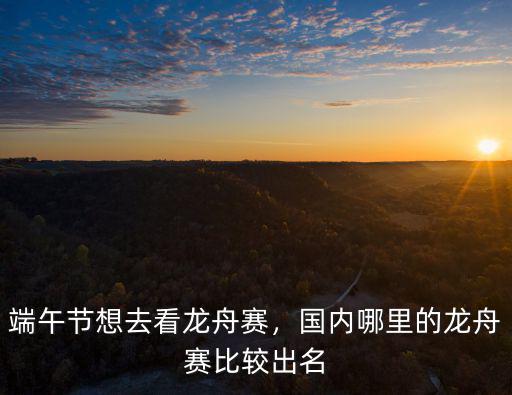 端午節想去看龍舟賽，國內哪里的龍舟賽比較出名
