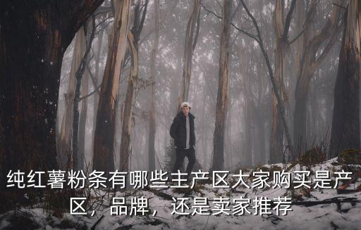純紅薯粉條有哪些主產(chǎn)區(qū)大家購買是產(chǎn)區(qū)，品牌，還是賣家推薦