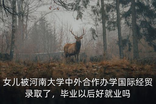 女兒被河南大學中外合作辦學國際經貿錄取了，畢業以后好就業嗎