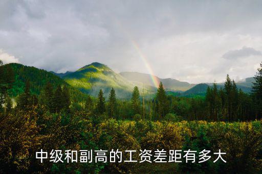 河北省中級和副高工資差多少,中級和副高的工資差距有多大