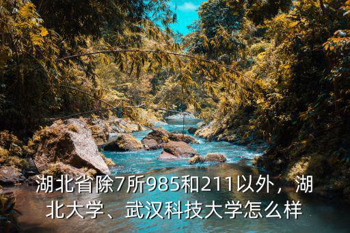 湖北省除7所985和211以外，湖北大學、武漢科技大學怎么樣