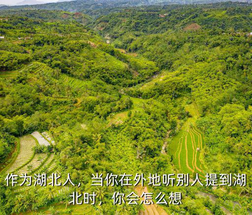 作為湖北人，當(dāng)你在外地聽別人提到湖北時(shí)，你會(huì)怎么想