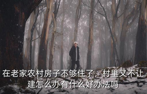 在老家農村房子不夠住了，村里又不讓建怎么辦有什么好辦法嗎