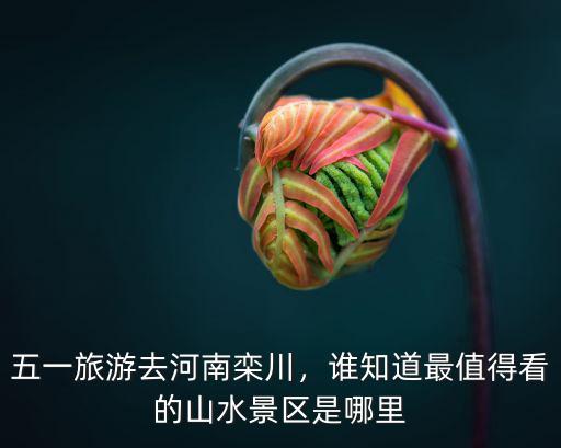 五一旅游去河南欒川，誰知道最值得看的山水景區是哪里