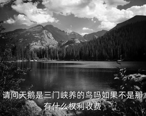 請問天鵝是三門峽養的鳥嗎如果不是那有什么權利收費