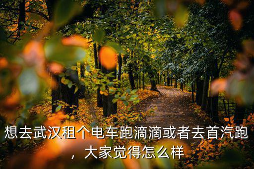想去武漢租個電車跑滴滴或者去首汽跑，大家覺得怎么樣
