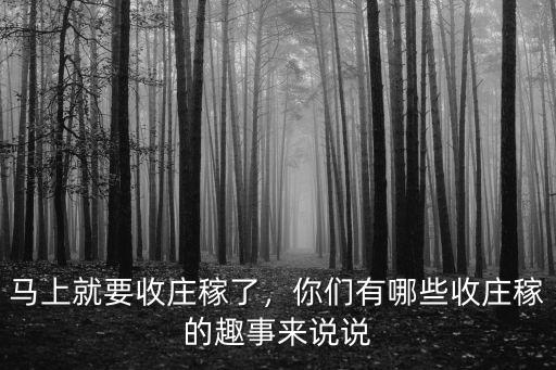 馬上就要收莊稼了，你們有哪些收莊稼的趣事來說說