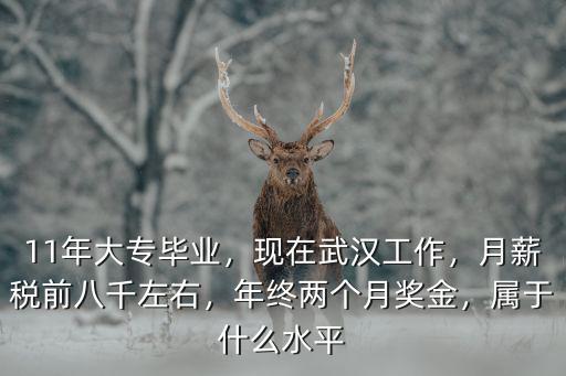 武漢八千代工資怎么樣,武漢平均工資8千多