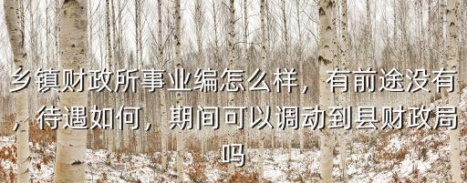 鄉(xiāng)鎮(zhèn)財政所事業(yè)編怎么樣，有前途沒有，待遇如何，期間可以調(diào)動到縣財政局嗎