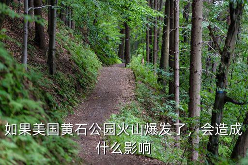 如果黃石火山爆發(fā)怎么自保,如果美國黃石公園火山爆發(fā)了