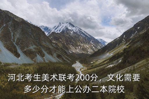 河北高中美術2本要考多少文化課,河北美術聯考249分