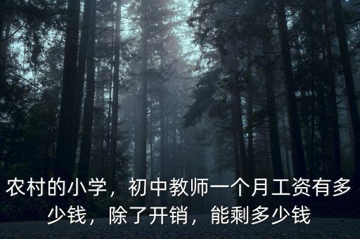 農村的小學，初中教師一個月工資有多少錢，除了開銷，能剩多少錢