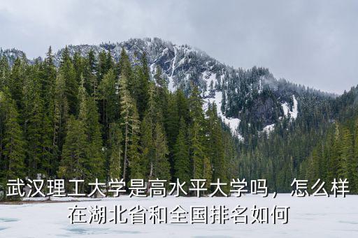 武漢理工大學是高水平大學嗎，怎么樣在湖北省和全國排名如何