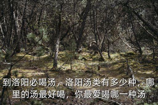 洛陽湯店在哪里,洛陽新區哪家湯好喝在哪里