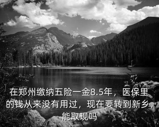 在鄭州繳納五險一金8.5年，醫(yī)保里的錢從來沒有用過，現(xiàn)在要轉(zhuǎn)到新鄉(xiāng)，能取現(xiàn)嗎