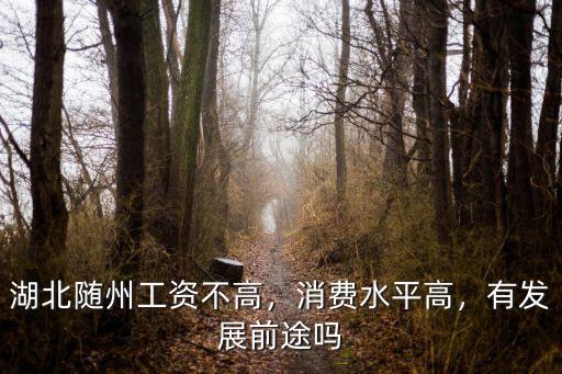 隨州日報社怎么樣,湖北隨州怎么樣
