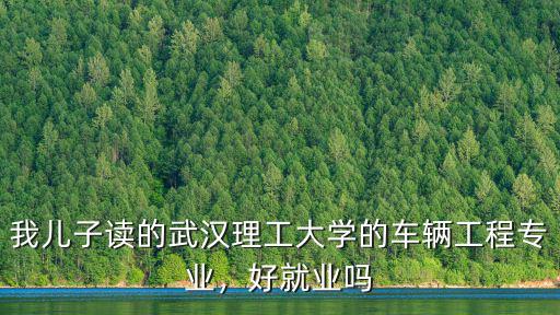 我兒子讀的武漢理工大學(xué)的車輛工程專業(yè)，好就業(yè)嗎