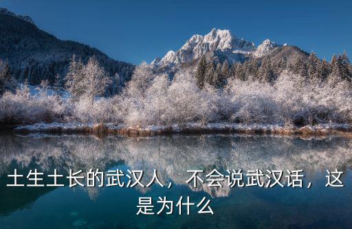 土生土長的武漢人，不會說武漢話，這是為什么