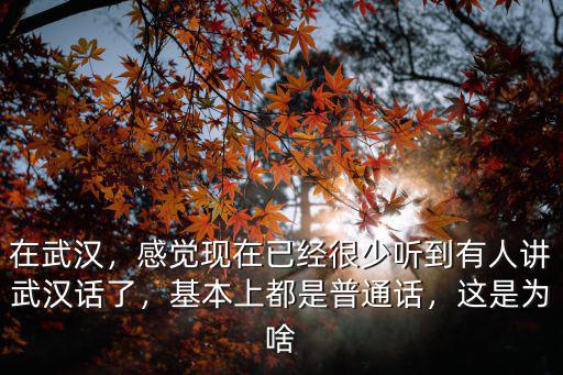 在武漢，感覺現(xiàn)在已經(jīng)很少聽到有人講武漢話了，基本上都是普通話，這是為啥