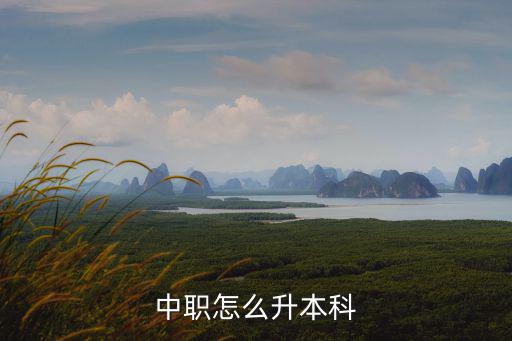 中職怎么升本科