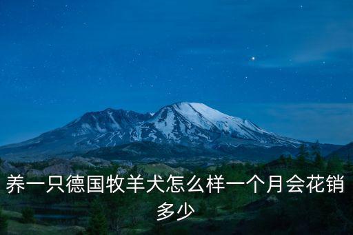 養(yǎng)一只德國(guó)牧羊犬怎么樣一個(gè)月會(huì)花銷(xiāo)多少