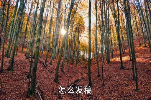 怎么發稿