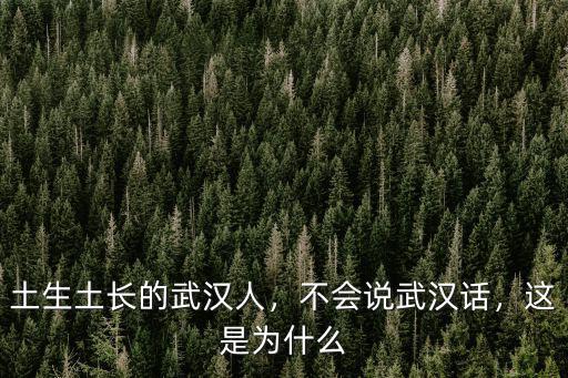 土生土長的武漢人，不會說武漢話，這是為什么
