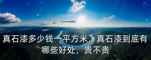 真石漆多少錢一平方米，真石漆到底有哪些好處，貴不貴