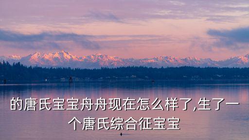 武漢的唐氏寶寶舟舟現在怎么樣了,生了一個唐氏綜合征寶寶